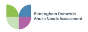 Birmingham domestic abuse needs assessment